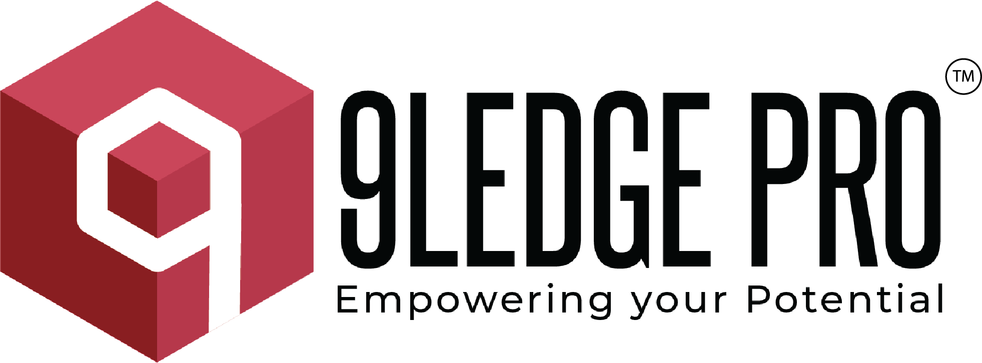 9Ledge Pro